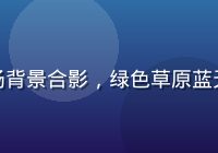 新西兰安佳黄油与奶牛牧场背景合影，绿色草原蓝天白云，天然健康原料来源